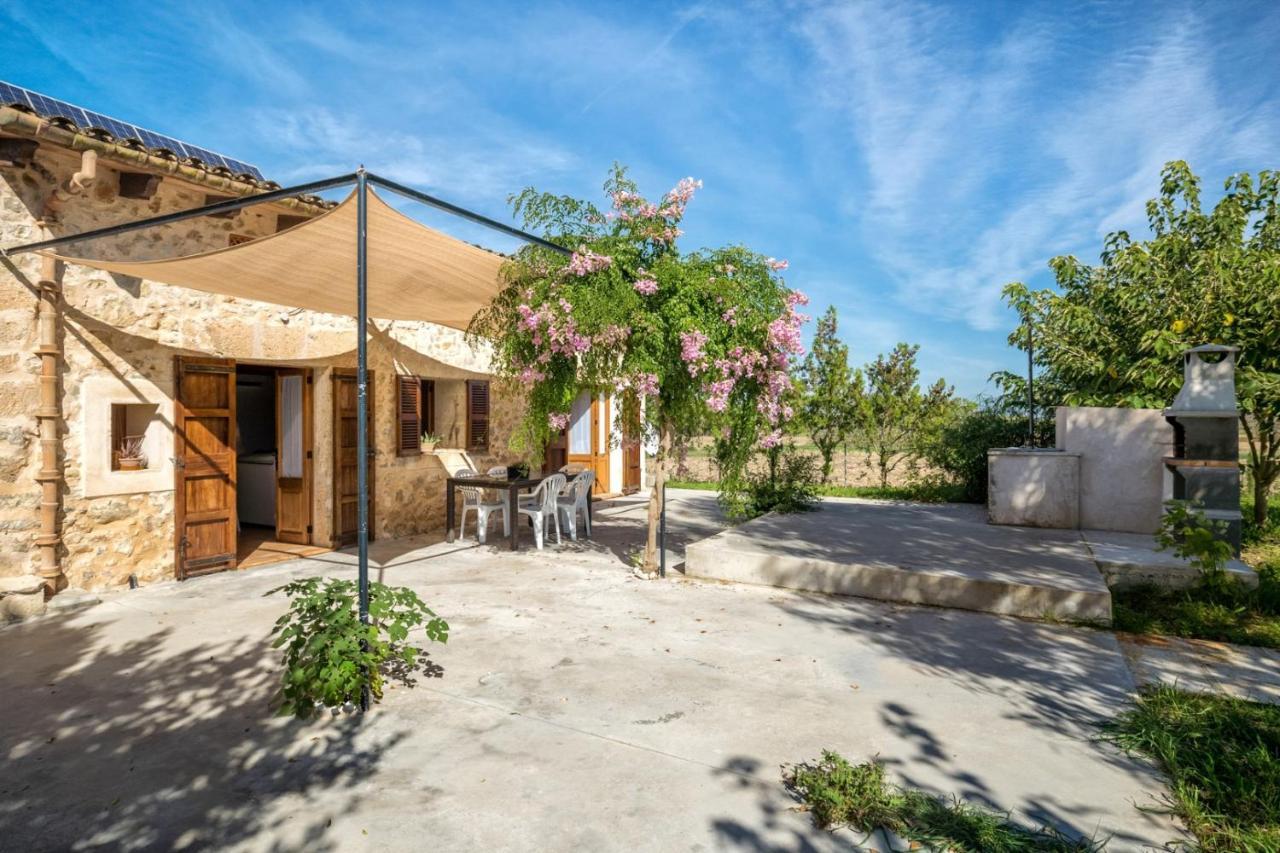 Es Camp Pla Βίλα Sineu  Εξωτερικό φωτογραφία